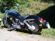 Bild_279.jpg