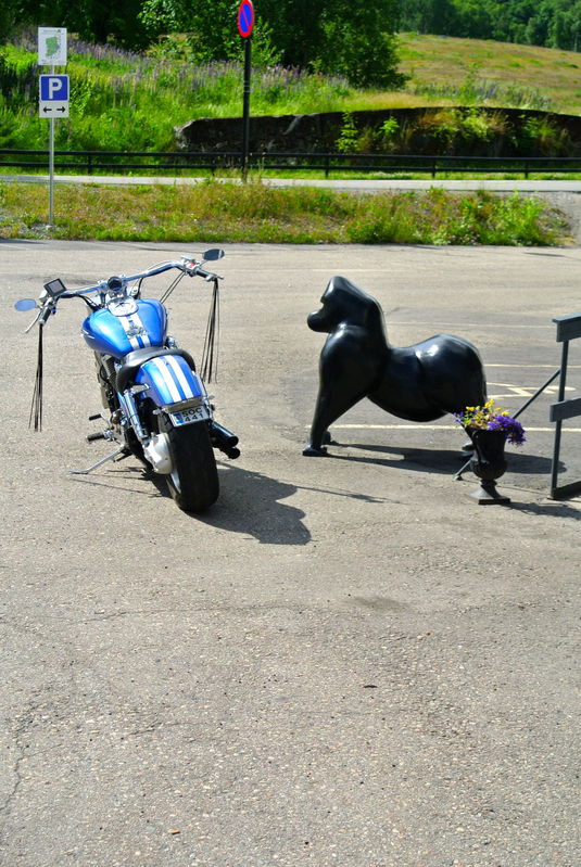 DSC_4070.jpg
