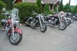 DSC_5489.JPG