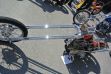 DSC_5511.JPG