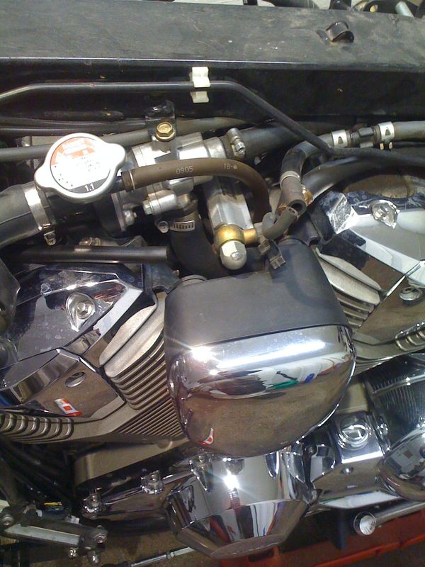 VTX_008.jpg