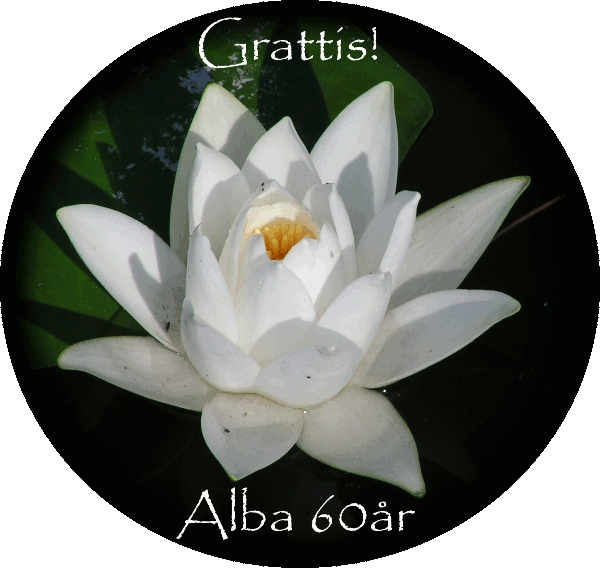Alba 60 Ã¥r
