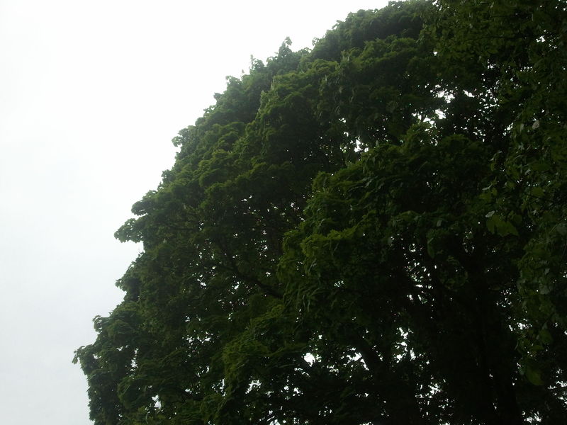 Nyckelord: Ã¥rstrÃ¤ff2012