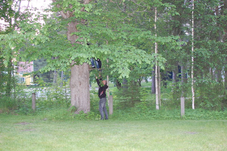 Nyckelord: Ã¥rstrÃ¤ff2012