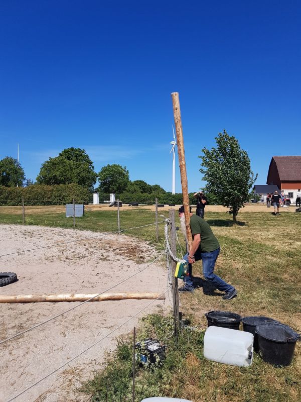 PÃ¥ Tjauls GÃ¥rd - StÃ¥ngstrÃ¶rtning
Fotograf: Sissel
Nyckelord: Ã¥rstrÃ¤ff2018