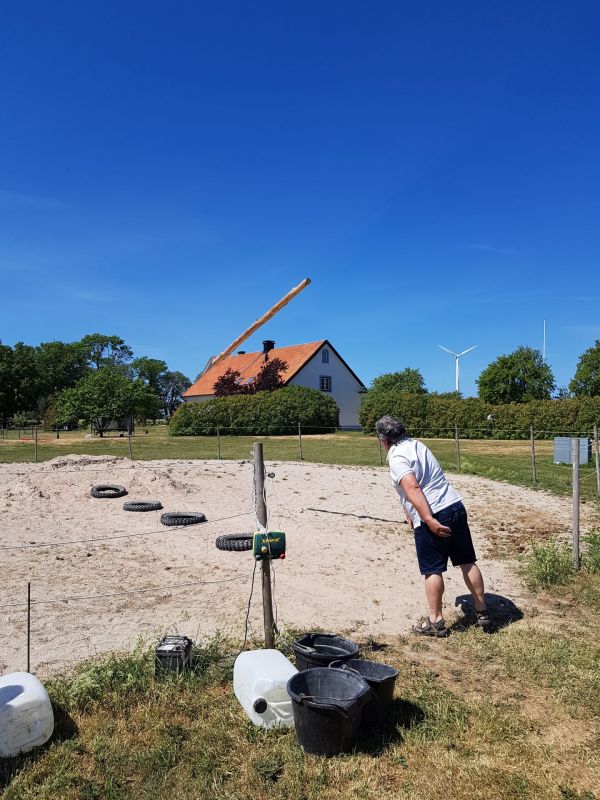 PÃ¥ Tjauls GÃ¥rd - StÃ¥ngstÃ¶rtning
Fotograf: Sissel
Nyckelord: Ã¥rstrÃ¤ff2018