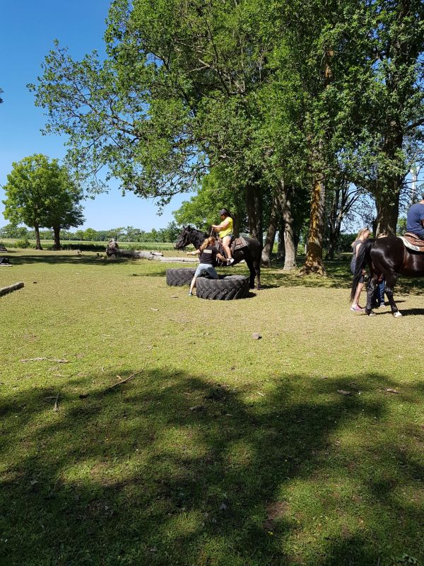 PÃ¥ Tjauls GÃ¥rd - Western-hÃ¤st-ridning
Fotograf: Sissel
Nyckelord: Ã¥rstrÃ¤ff2018