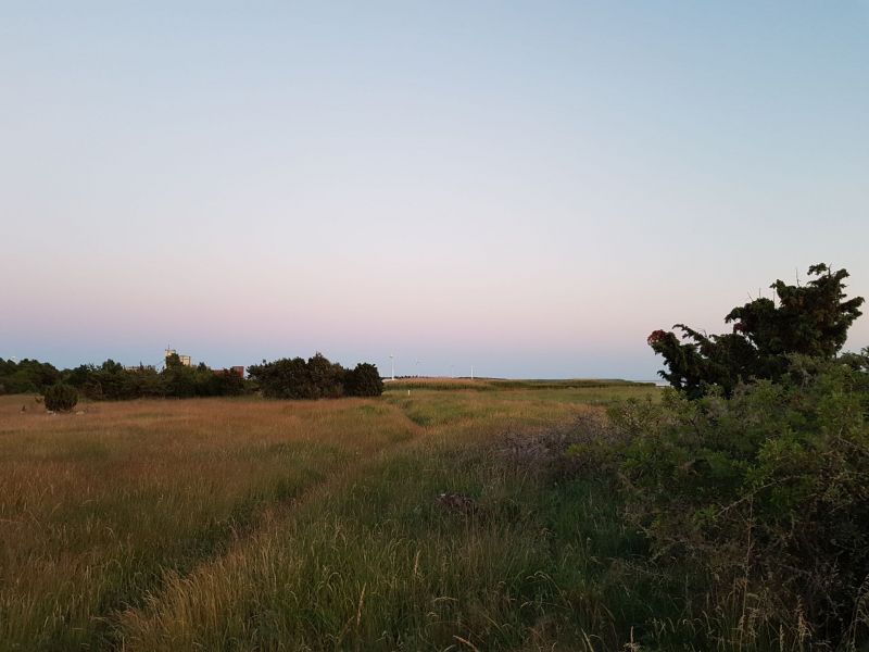 PÃ¥ SnÃ¤ckan
Fotograf: Sissel
Nyckelord: Ã¥rstrÃ¤ff2018