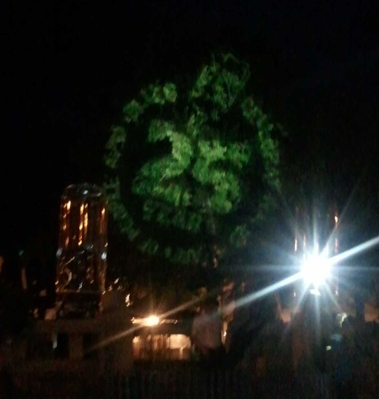 Snygg trÃ¤d-belysning!
