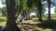 20180608_141457.jpg