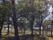 20180608_162216.jpg