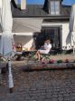 20180609_175608.jpg